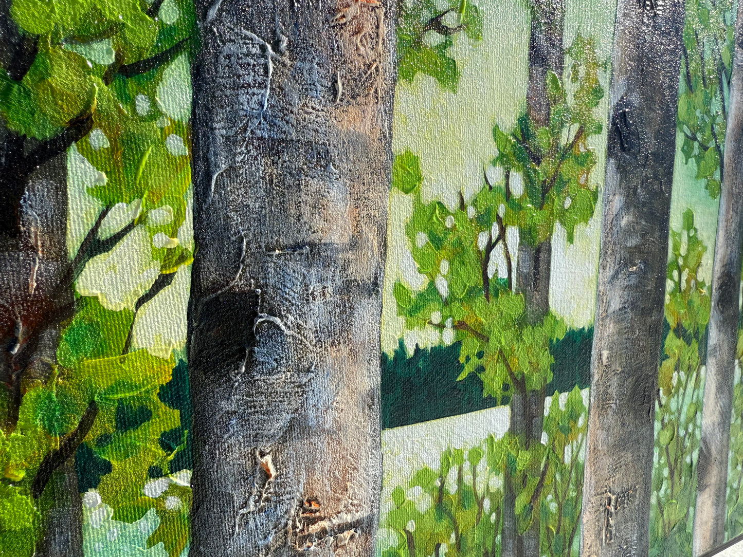 Summer Birches