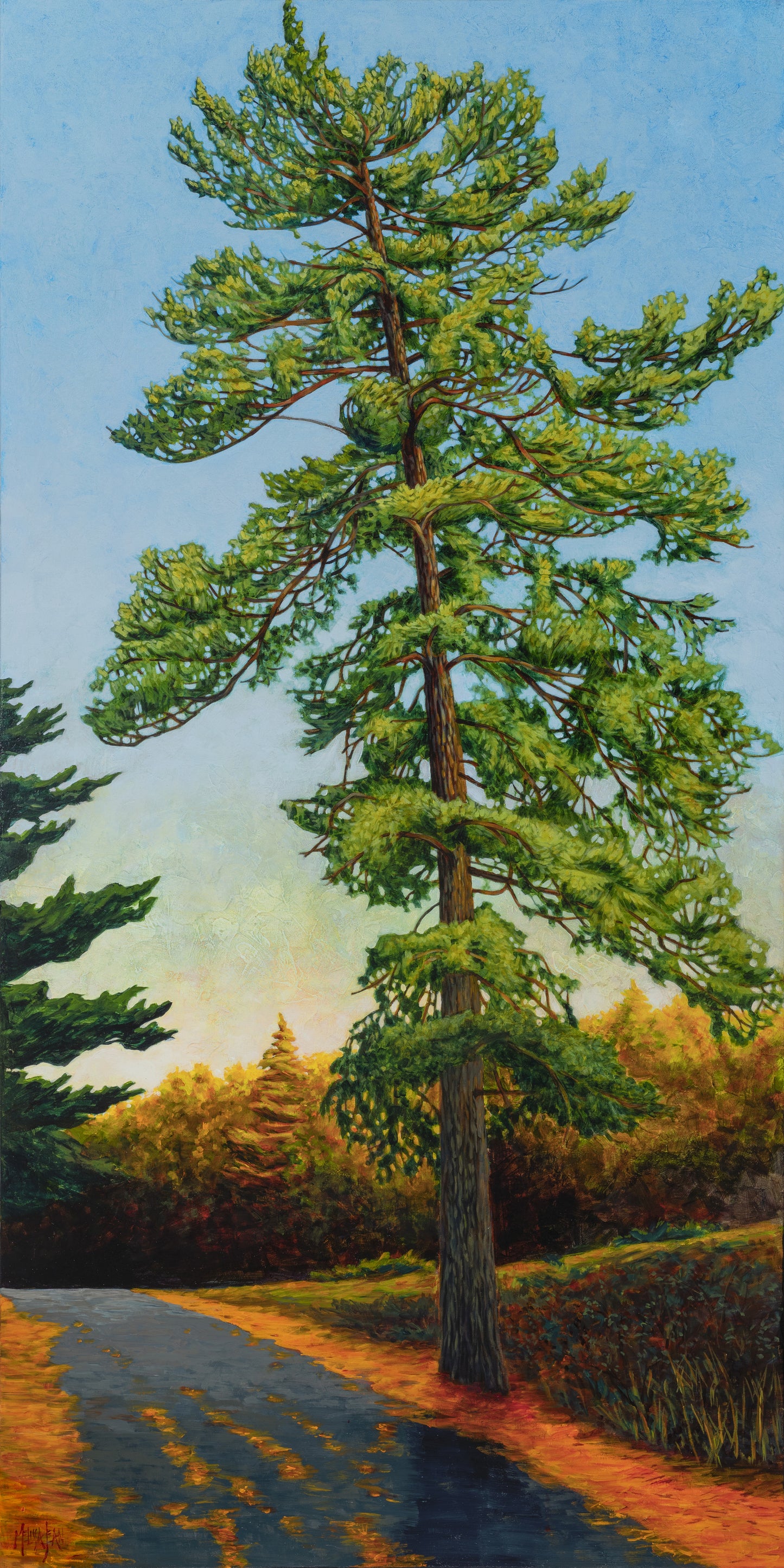 “Great Pine” Canvas Art Print