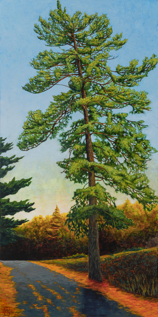 “Great Pine” Canvas Art Print