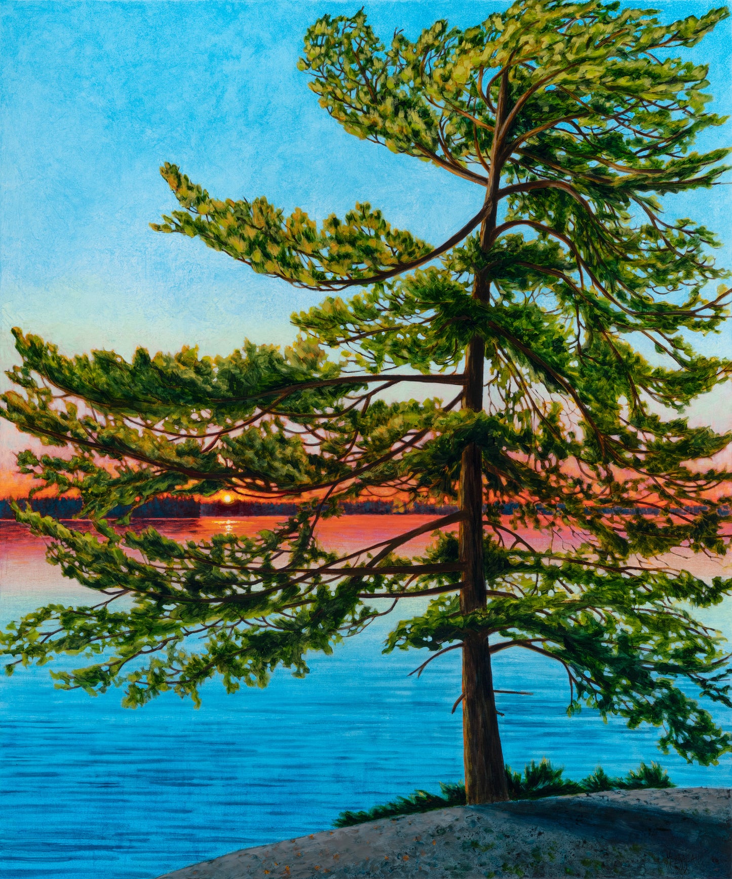 "Dancing Pine" Canvas Art Print