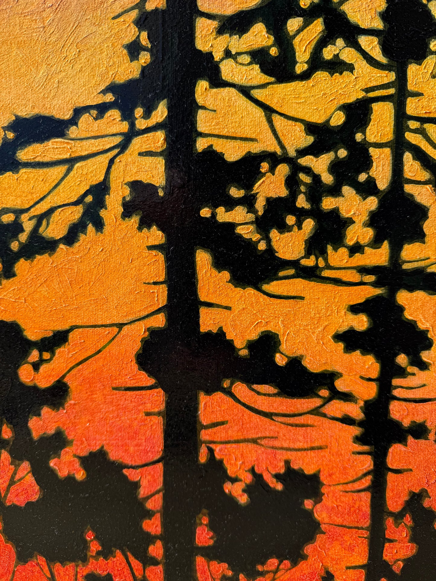 Boreal Glow