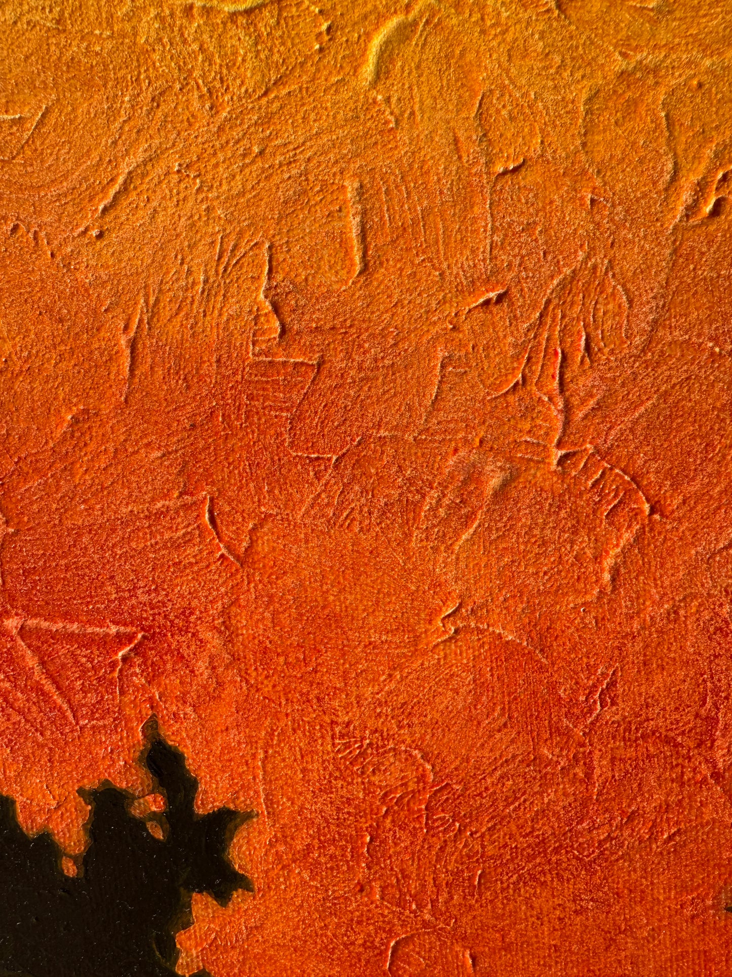Boreal Glow