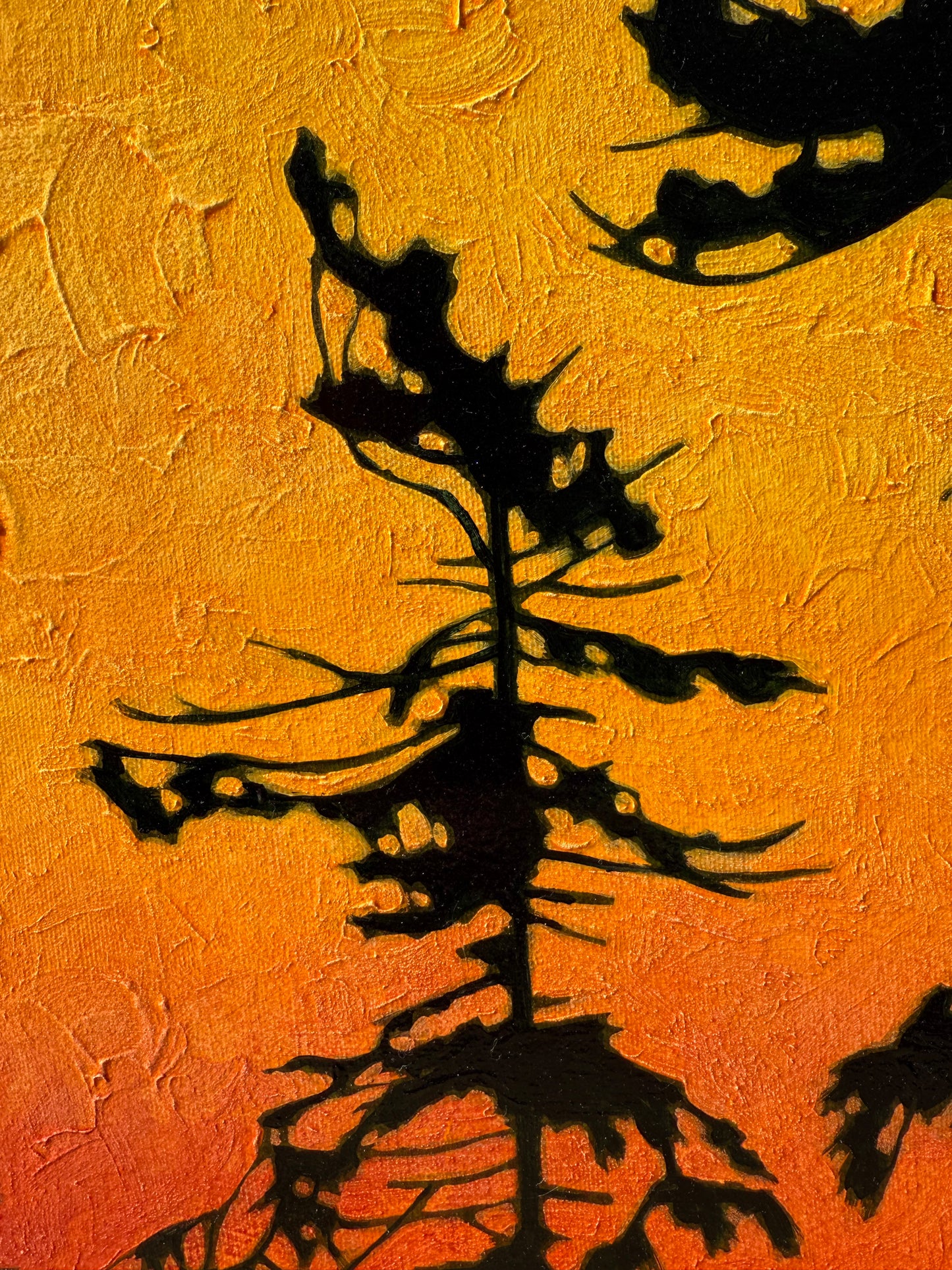 Boreal Glow