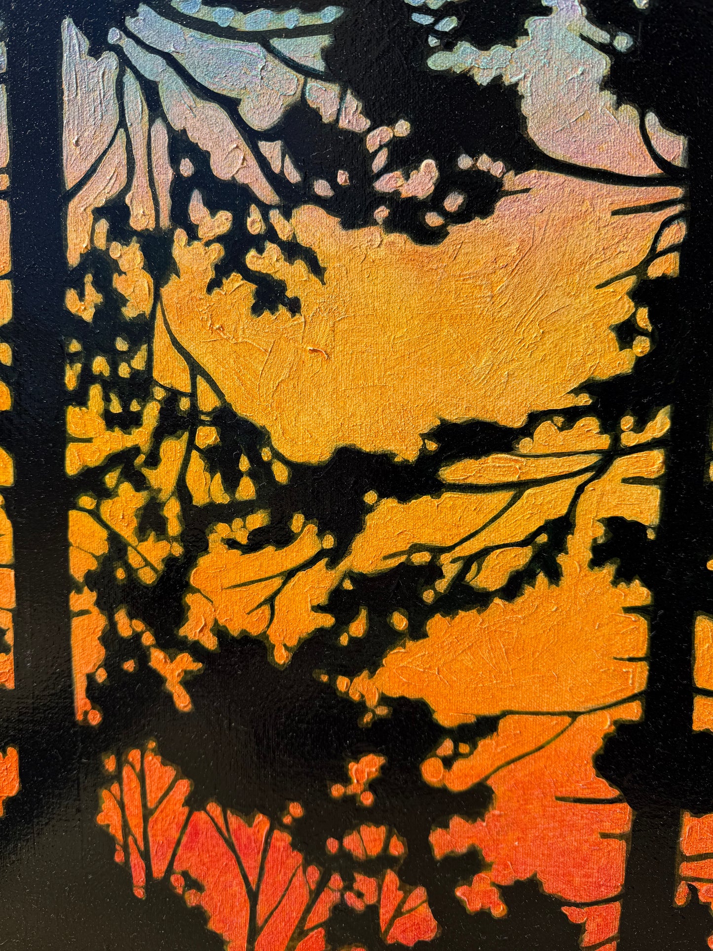 Boreal Glow