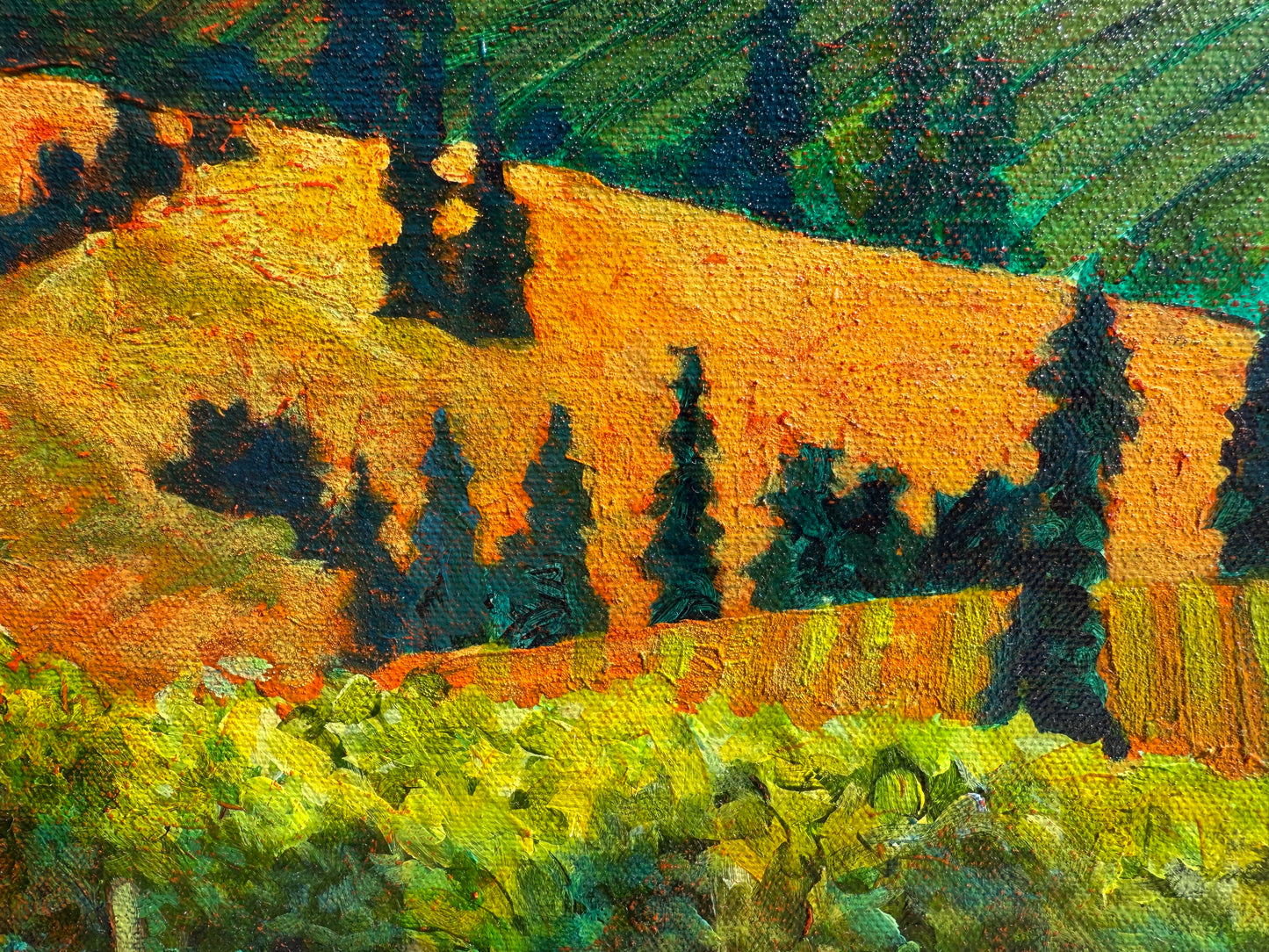 The Vineyards of OK Falls