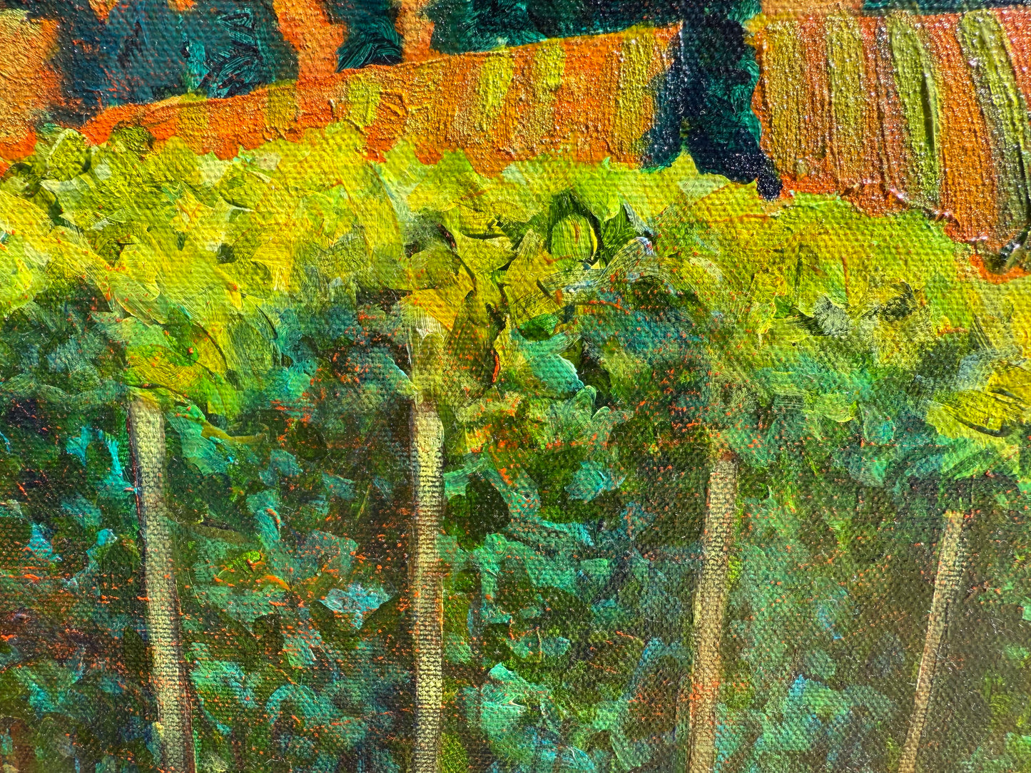 The Vineyards of OK Falls