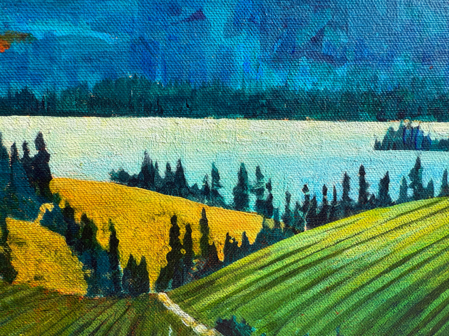 The Vineyards of OK Falls