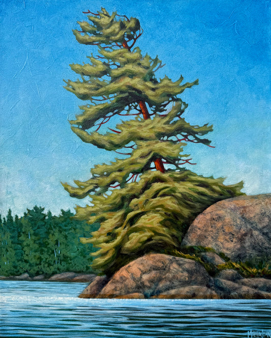 Leaning Pine