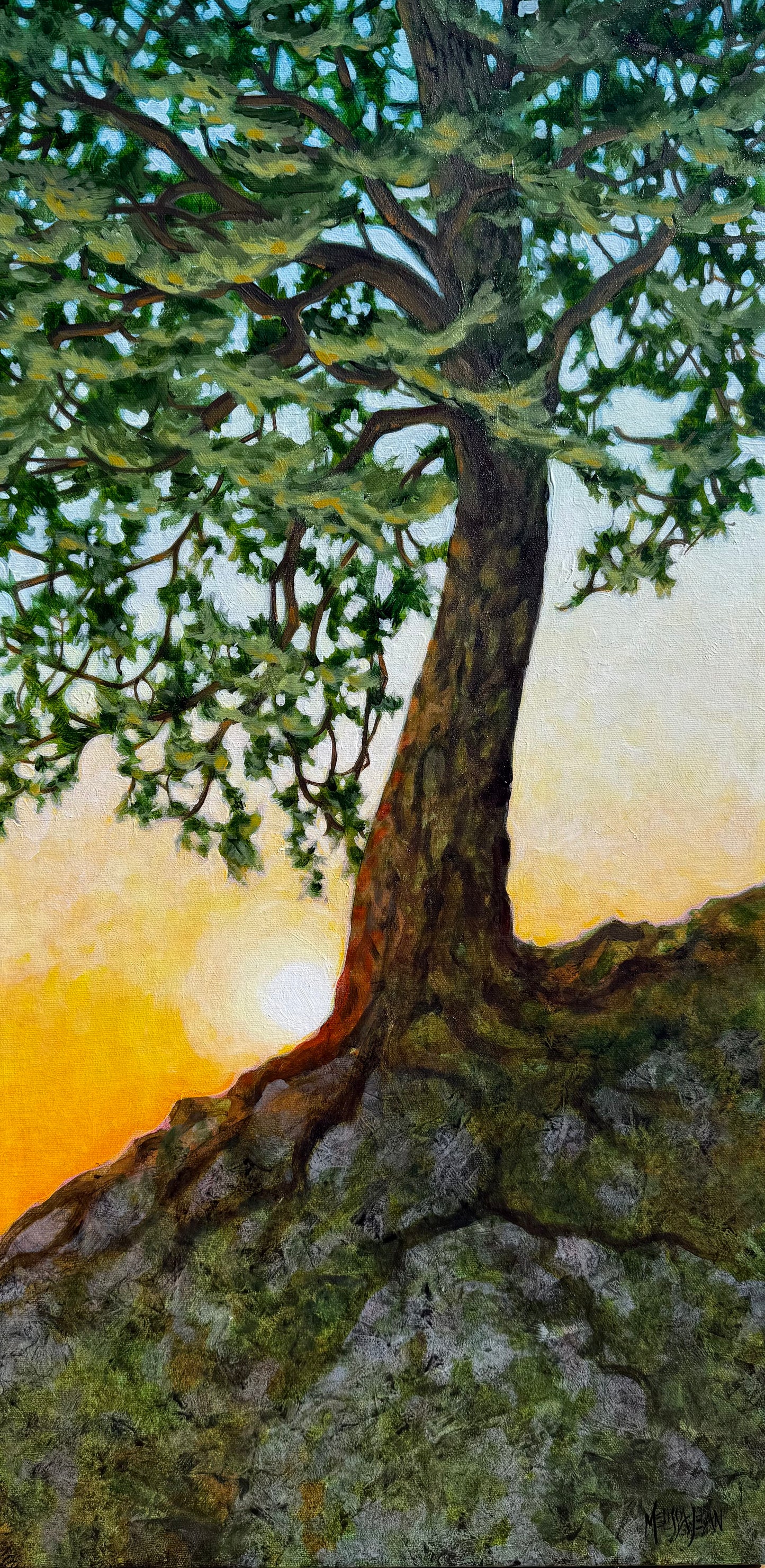 Rooted in Hope