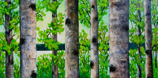Summer Birches