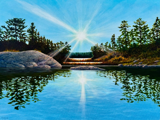 Sundrenched