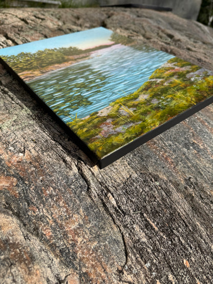 Mossy Lookout