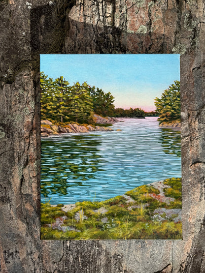 Mossy Lookout