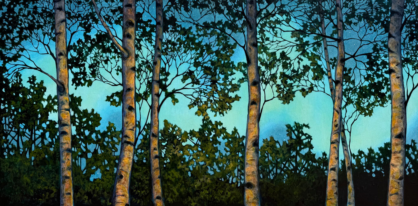 Firelight and Aurora Dreams