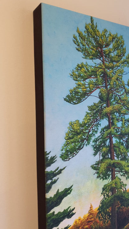 “Great Pine” Canvas Art Print